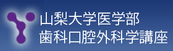 バナー2